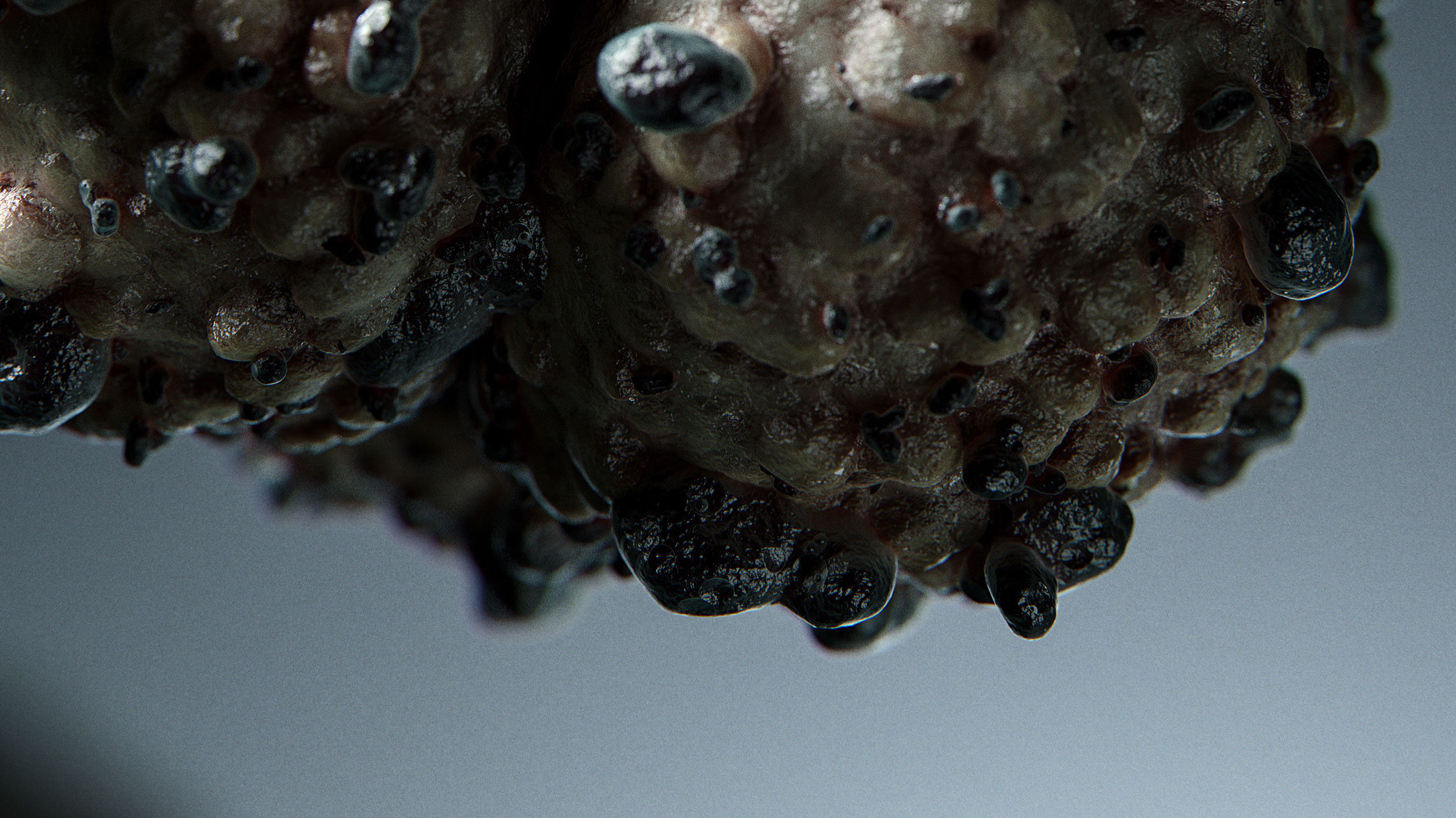 Cancer Cells — close-up 7