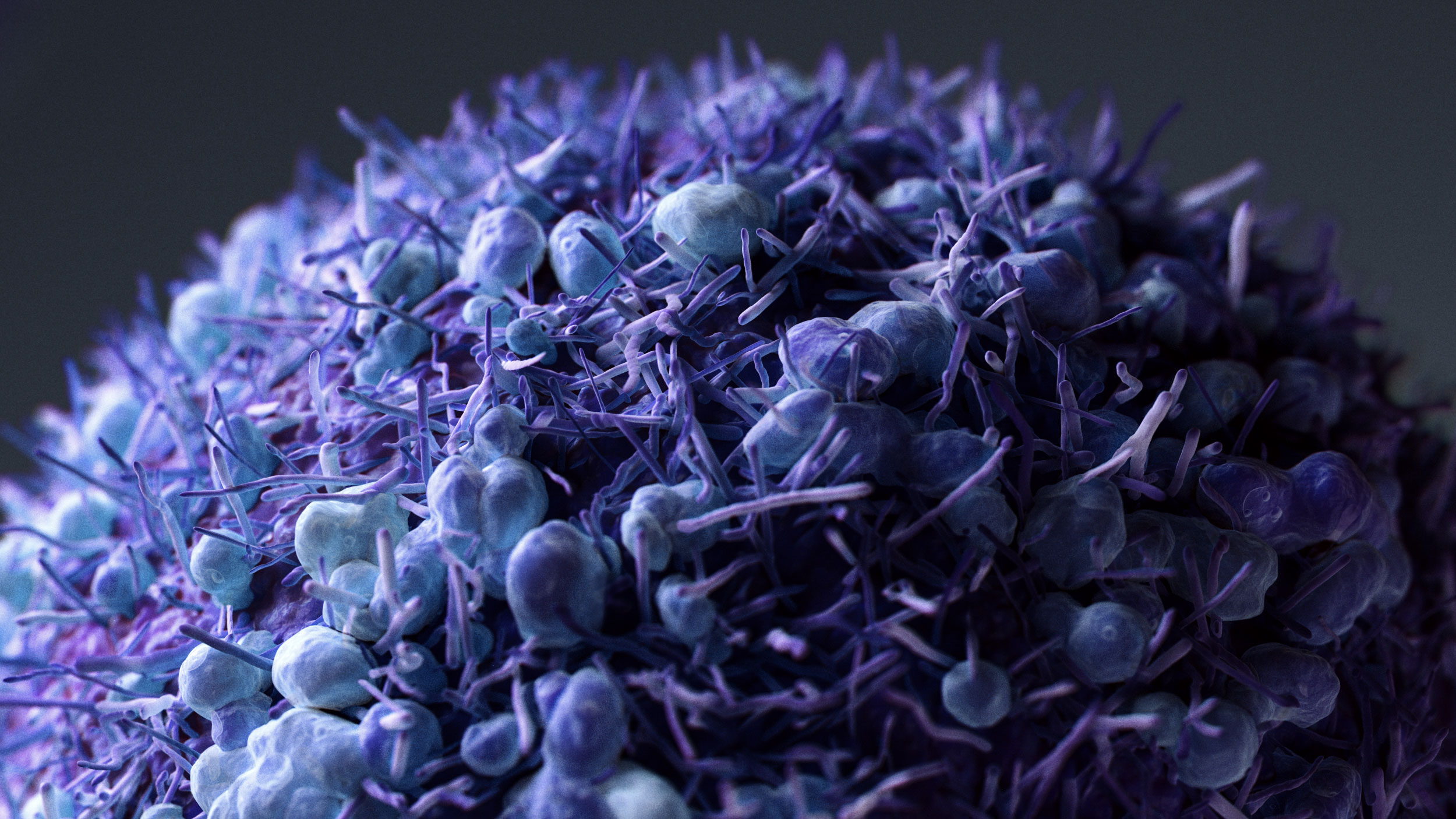 Cancer Cells — close-up 10