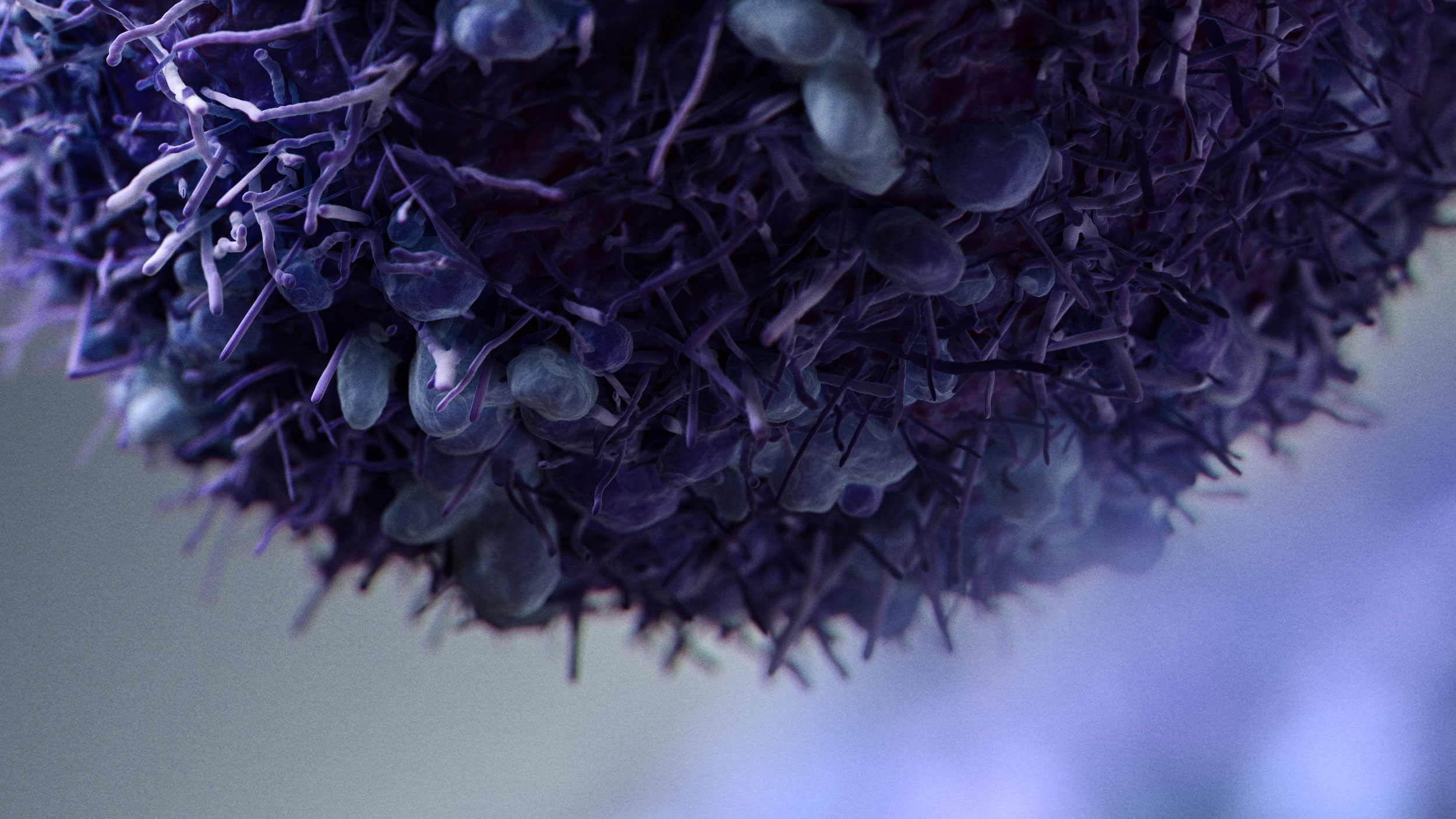 Cancer Cells — close-up 11