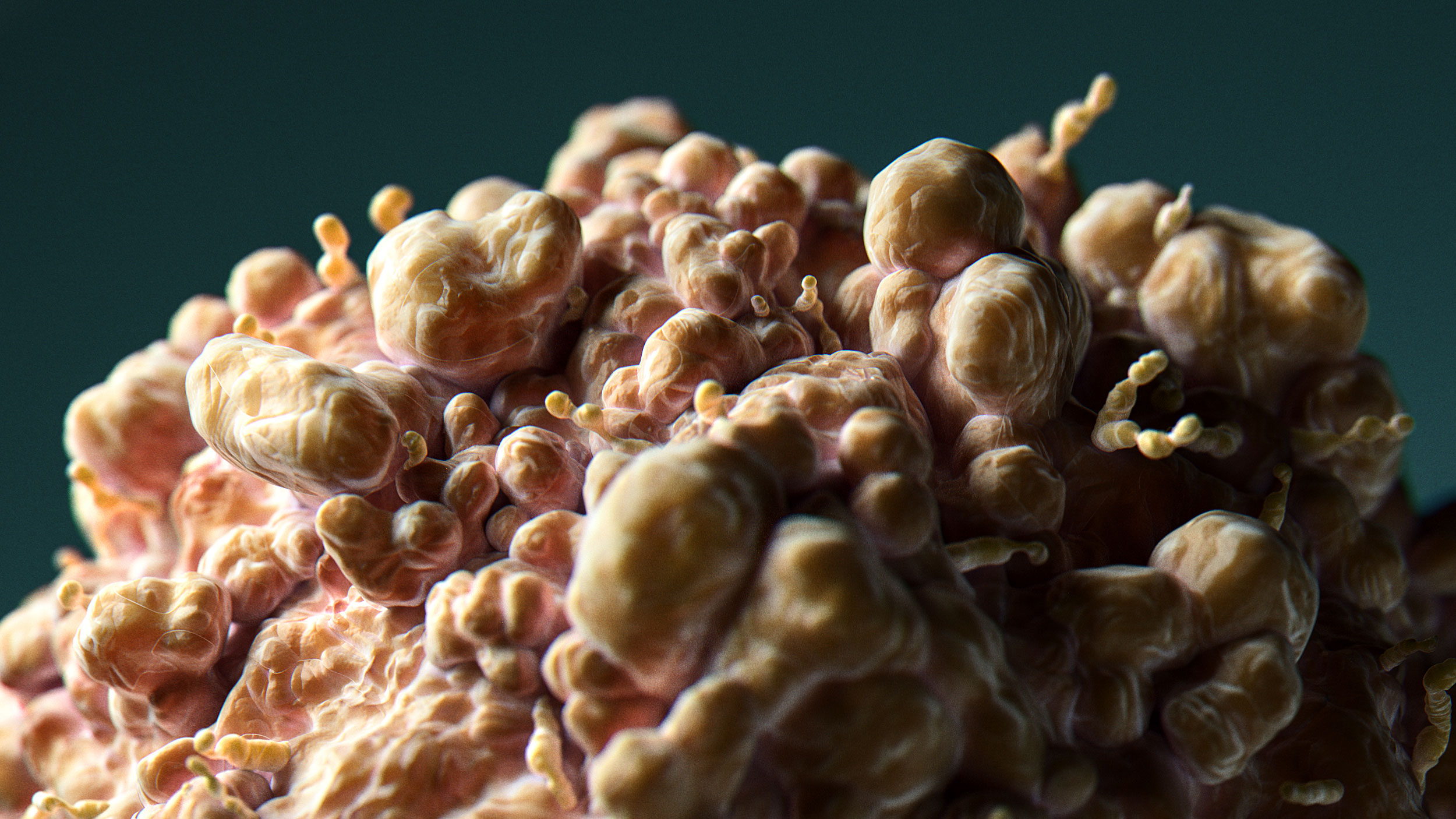 Cancer Cells — close-up 12