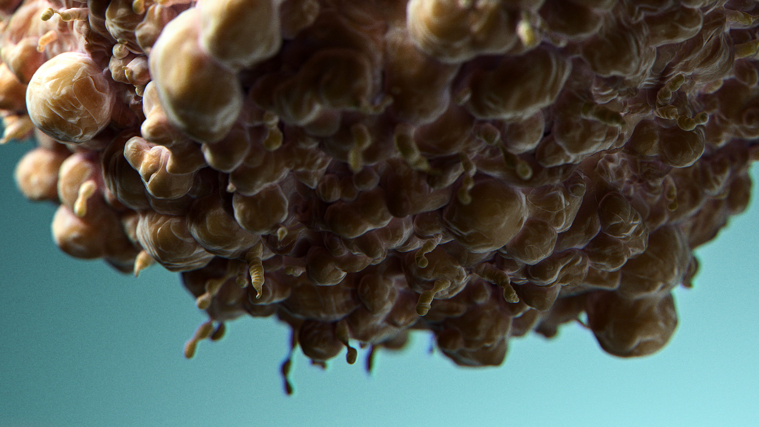 Cancer Cells — close-up 13