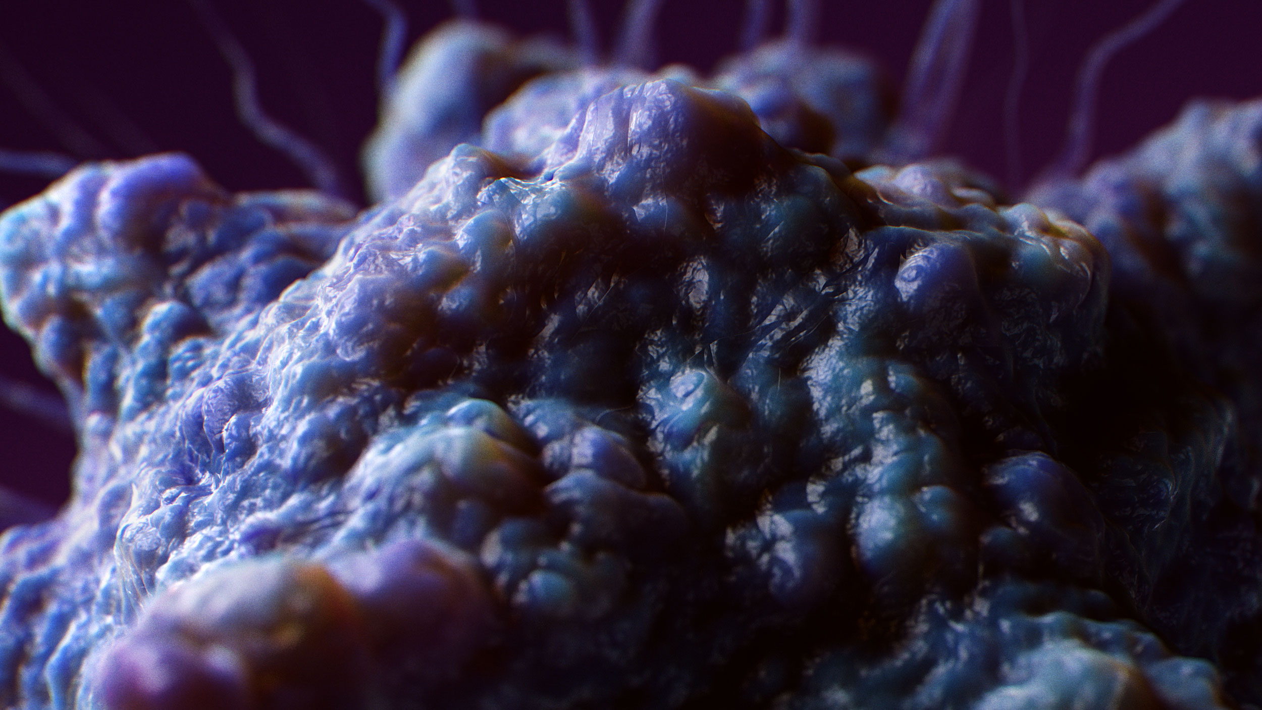 Cancer Cells — close-up 14