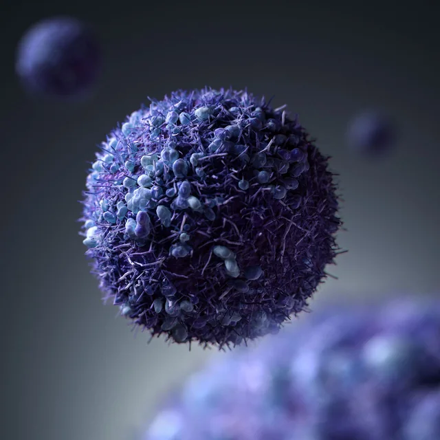 Cancer Cells — Australian Cancer Research Foundation